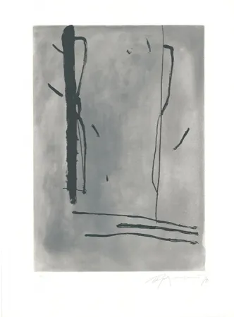 Etching And Aquatint Ràfols Casamada - Signe i Color-1