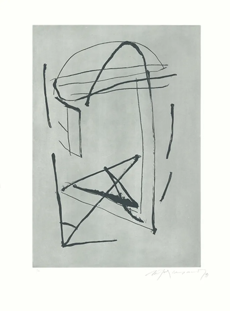 Etching And Aquatint Ràfols Casamada - Signe i color-2