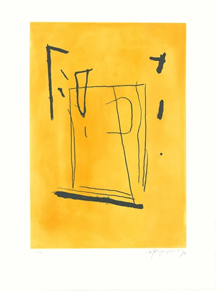 Etching And Aquatint Ràfols Casamada - Signe i color 3