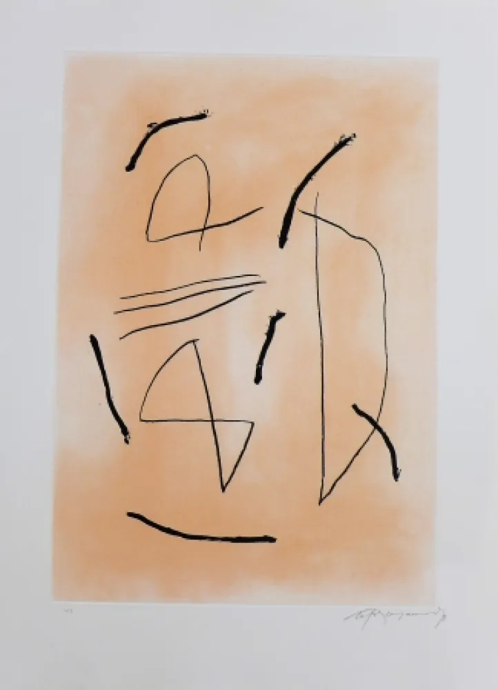 Etching Ràfols Casamada - Signe i color-4 