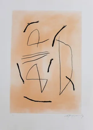 Etching Ràfols Casamada - Signe i color-4 