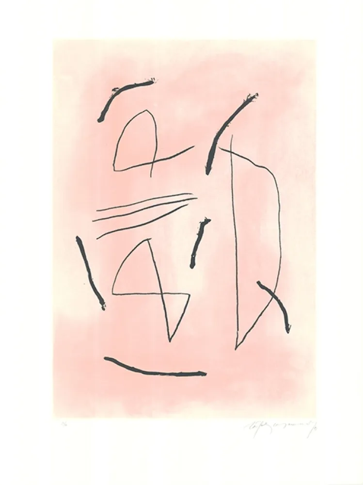 Etching And Aquatint Ràfols Casamada - Signe i color 4