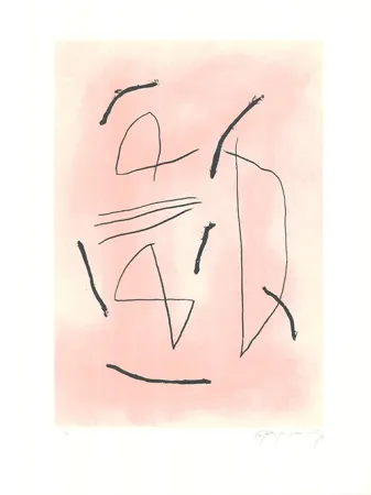 Etching And Aquatint Ràfols Casamada - Signe i color 4