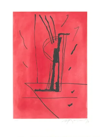 Etching And Aquatint Ràfols Casamada - Signe i color 6