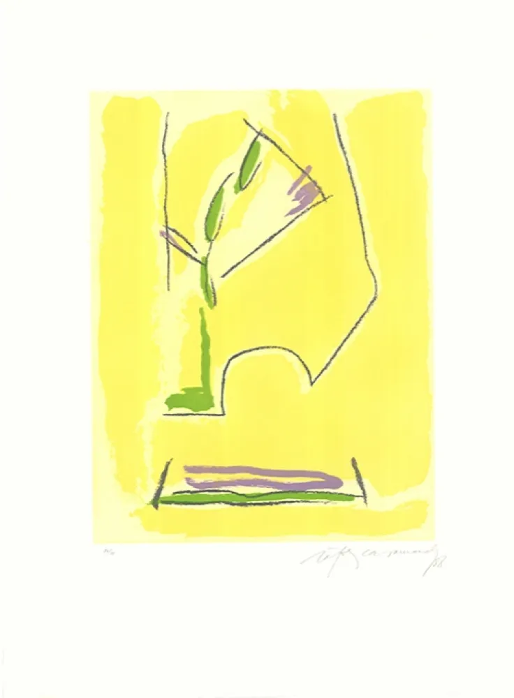 Etching And Aquatint Ràfols Casamada - Terrasses-1