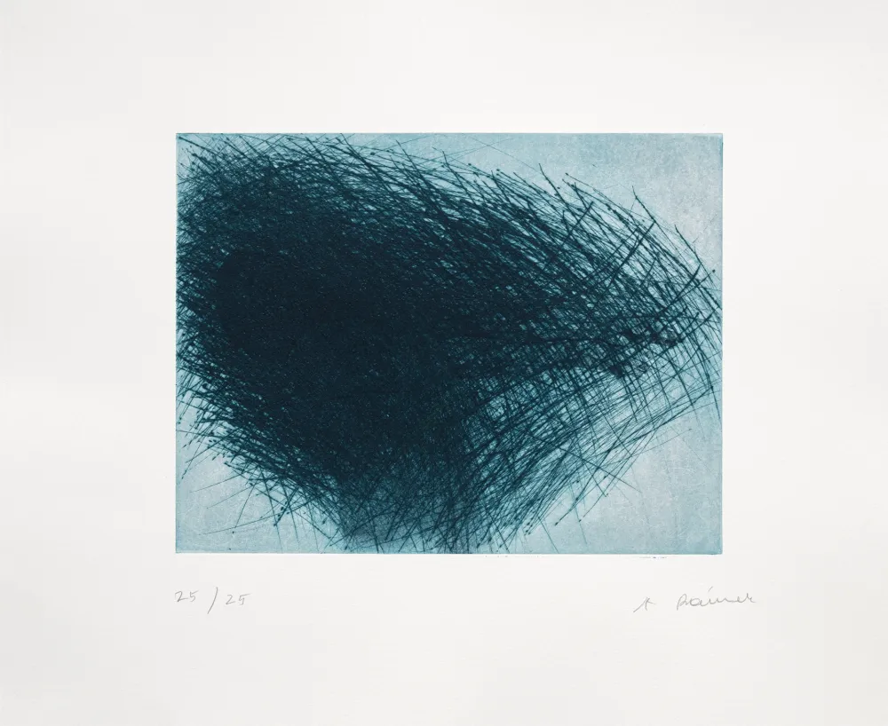 Etching Rainer - Schwarm