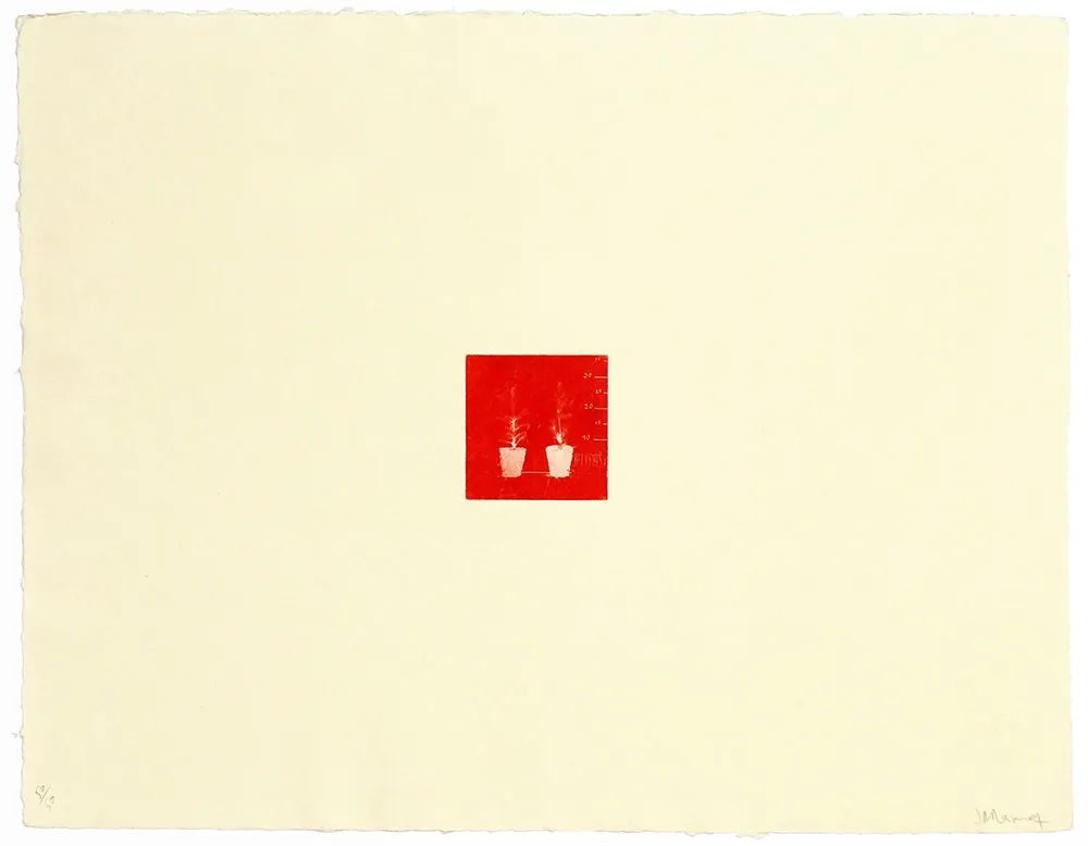 Etching Ramírez Suass - S'enraciner