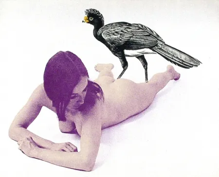 Lithograph Ramos - Currasow