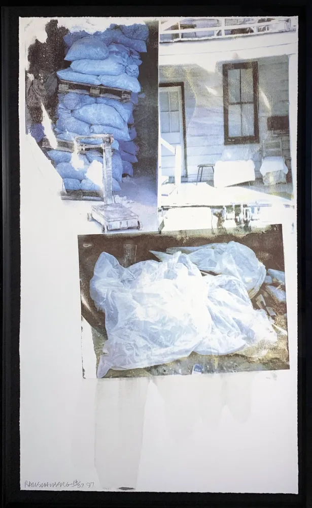 Screenprint Rauschenberg - Daydream (Speculations)