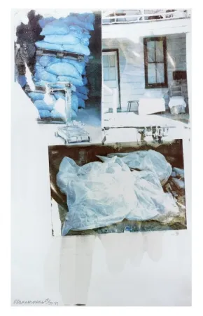 Screenprint Rauschenberg - Daydream (Speculations)