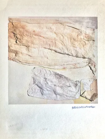 Lithograph Rauschenberg - Il Tatto (The Touch)