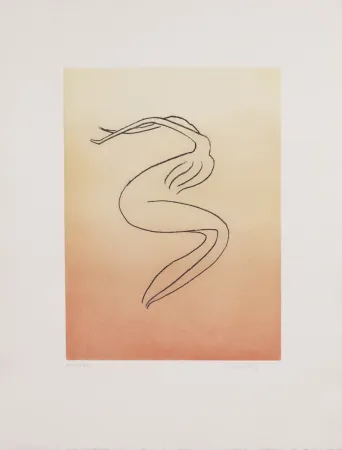 Aquatint Ray - Man Ray (1890–1976) - Anatoms without Rime or Reason for Every Season - Aquatint and soft ground on paper - 1970