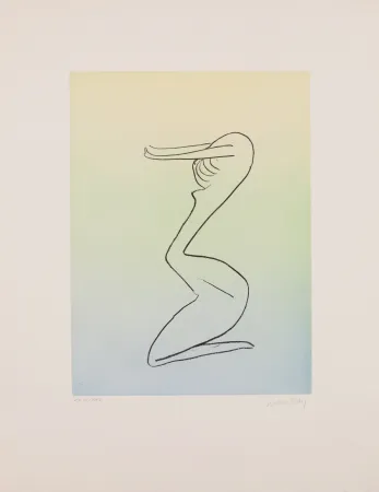 Aquatint Ray - Man Ray (1890–1976) - Anatoms without Rime or Reason for Every Season - Aquatint and soft ground on paper - 1970