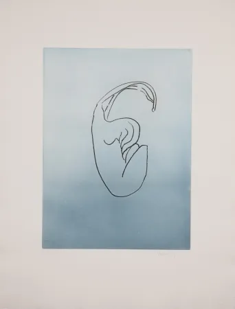 Aquatint Ray - Man Ray (1890–1976) - Anatoms without Rime or Reason for Every Season - Aquatint and soft ground on paper - 1970