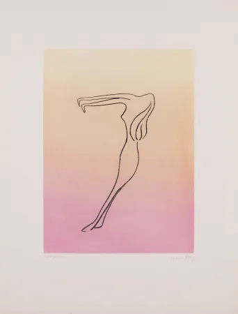 Aquatint Ray - Man Ray (1890–1976) - Anatoms without Rime or Reason for Every Season - Aquatint and soft ground on paper - 1970