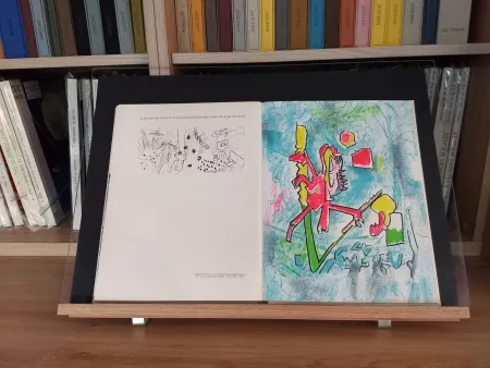 Illustrated Book Ray - No 45