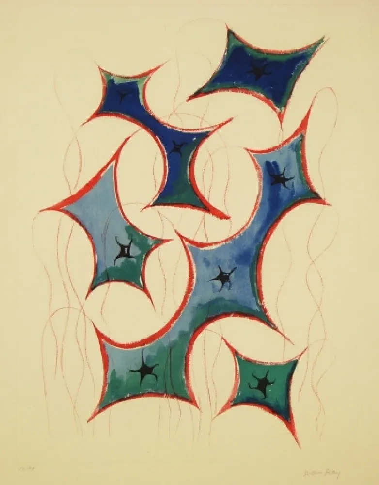 Etching And Aquatint Ray - Transfiguration d'un cactus