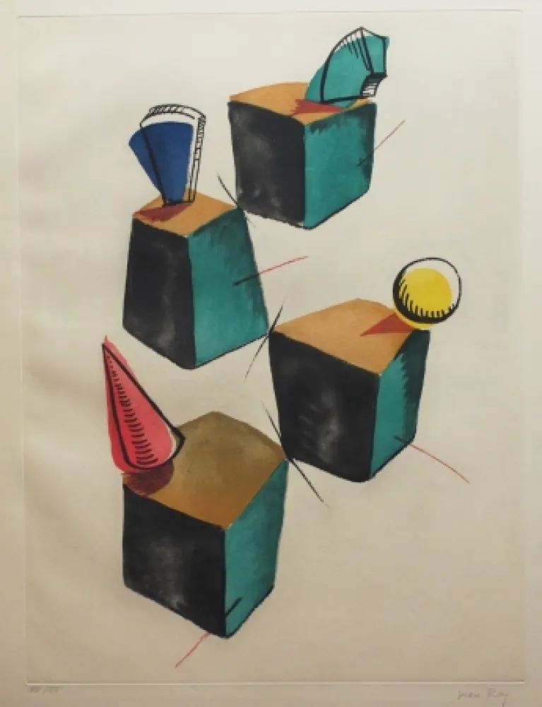 Etching And Aquatint Ray - Transfiguration d'un cactus