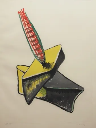 Etching And Aquatint Ray - Transfiguration d'un cactus