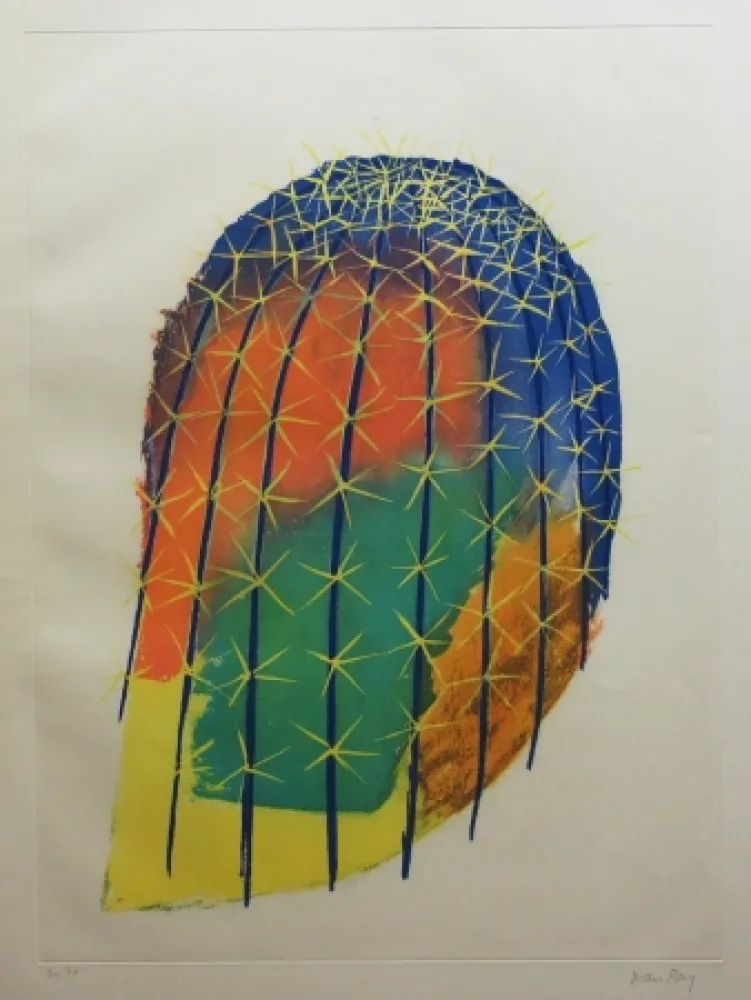 Etching And Aquatint Ray - Transfiguration d'un cactus