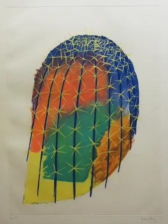 Etching And Aquatint Ray - Transfiguration d'un cactus