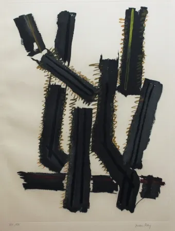 Etching And Aquatint Ray - Transfiguration d'un cactus