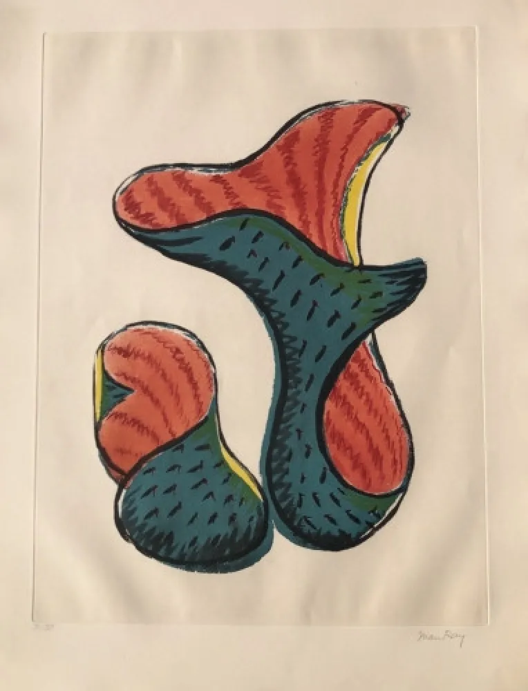 Aquatint Ray - Untitled (from Transfiguration d' un Cactus)