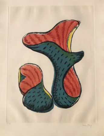 Aquatint Ray - Untitled (from Transfiguration d' un Cactus)