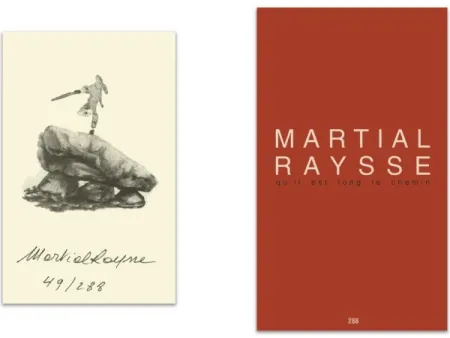 Illustrated Book Raysse - L'art en écrit