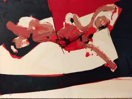 Illustrated Book Rebeyrolle - Coexistances