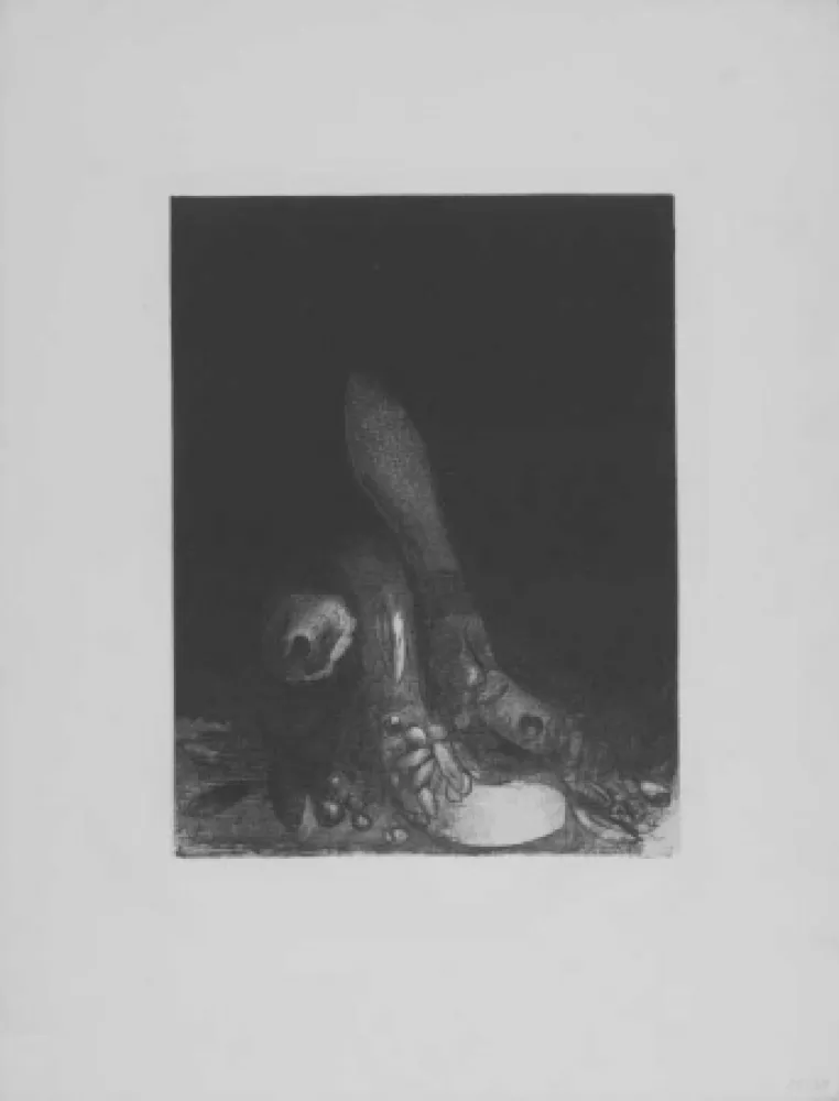 Lithograph Redon - Des fleurs tombent, e la tete d'un phyton parait