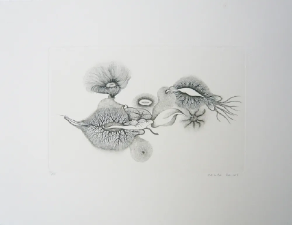 Etching Reims - Sans titre