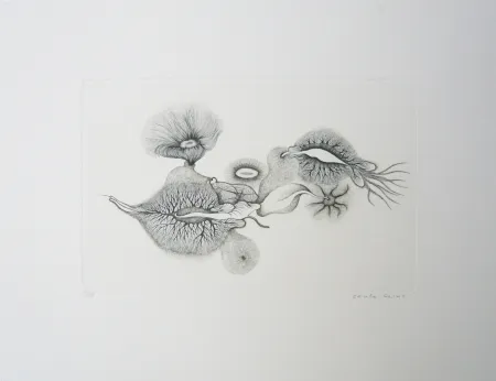 Etching Reims - Sans titre