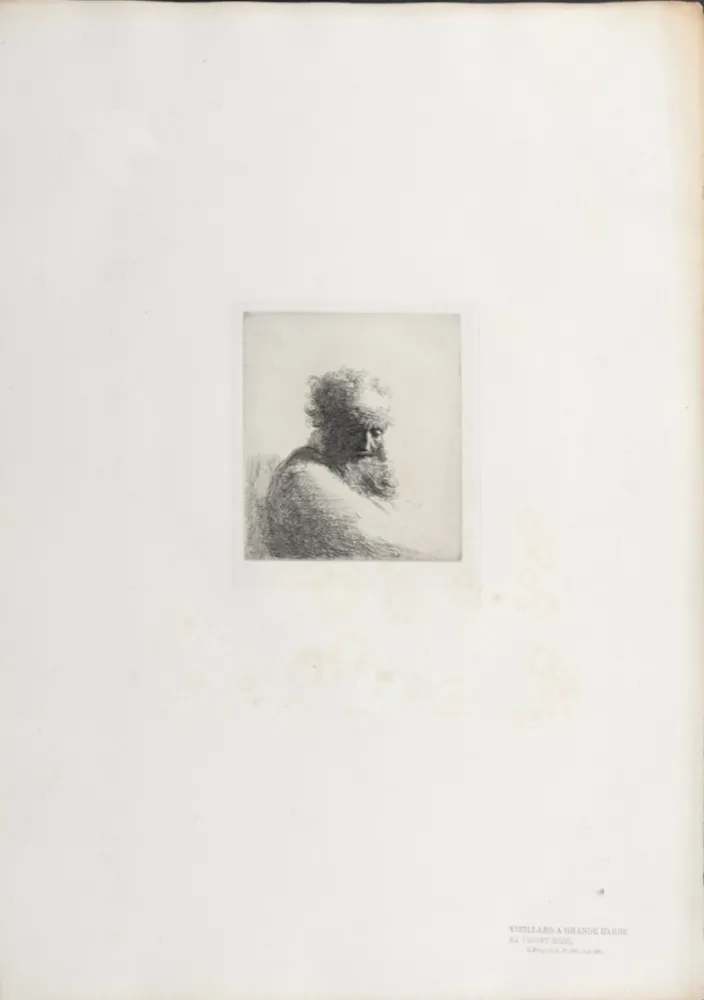 Rotogravure Rembrandt - Veillard à grande barbe et front ridé