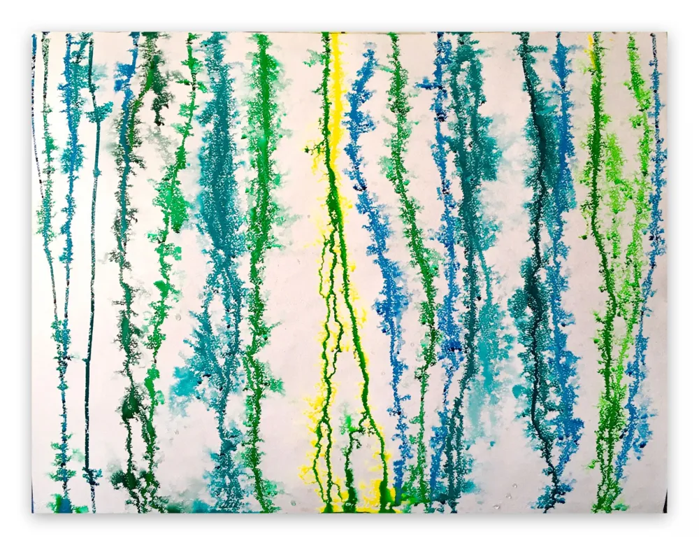 No Technical Reyna - Quarantaine 20064