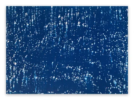 No Technical Reyna - Untitled 20207 