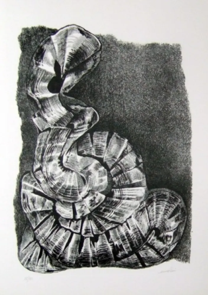 Illustrated Book Ricci - Lettera a un amico (e, indirettamente, a tutti gli altri)