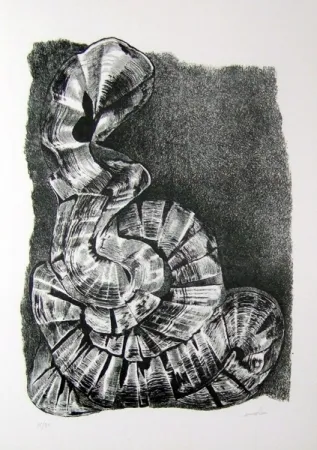 Illustrated Book Ricci - Lettera a un amico (e, indirettamente, a tutti gli altri)