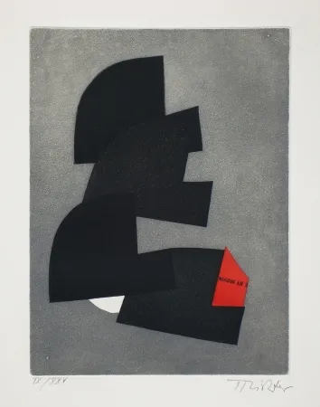 Etching And Aquatint Richter - Faits divers, faits éternels