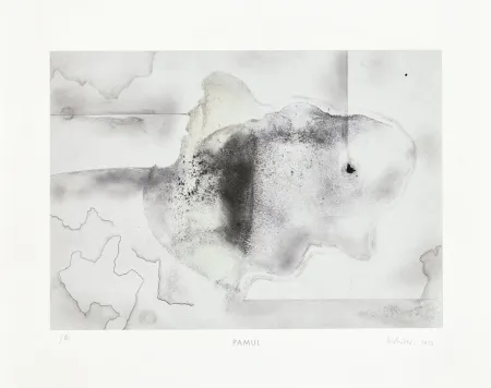 Multiple Richter - Pamul