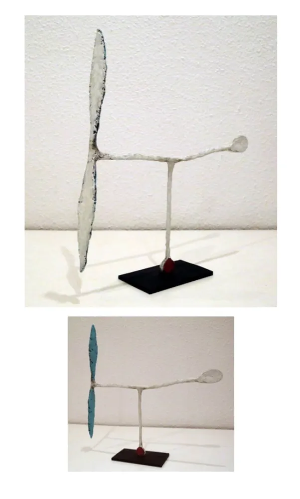 No Technical Riera I Aragó - Avió blanc amb cua