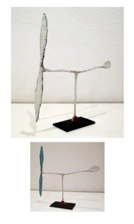 No Technical Riera I Aragó - Avió blanc amb cua