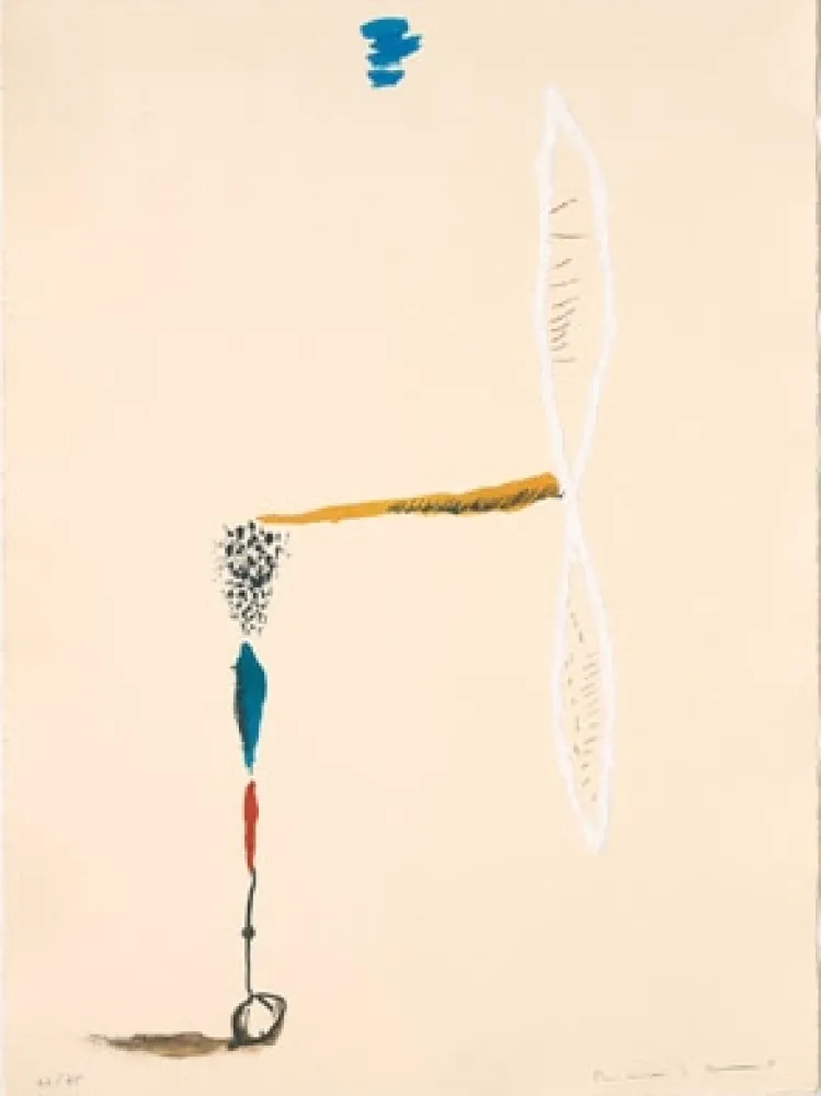 Lithograph Riera I Aragó - Avió hèlix blanc 