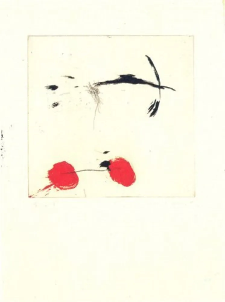 Etching Riera I Aragó - Avió petit rodes vermelles