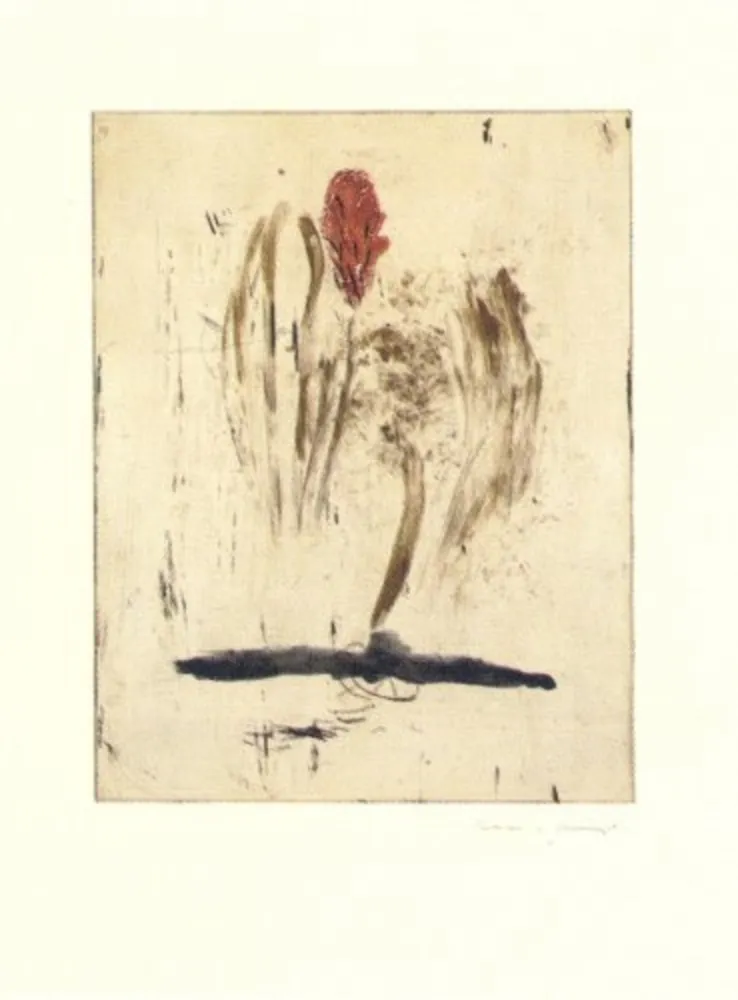 Etching Riera I Aragó - Submarí i ala