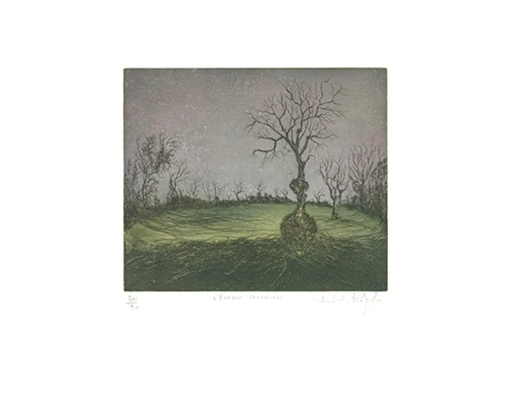 Etching And Aquatint Rigal J.j.j. - L'Erable canadien