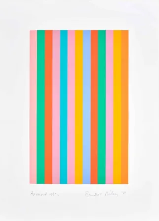 Screenprint Riley - Around