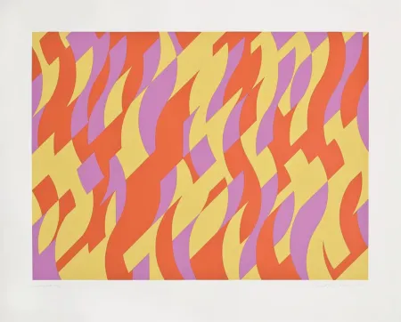 Screenprint Riley - Carnival