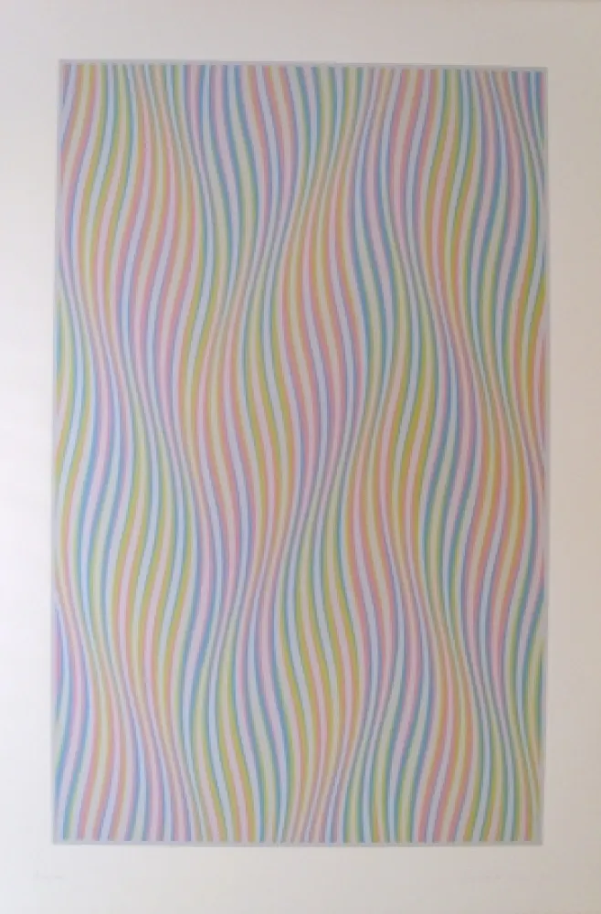 Screenprint Riley - Elapse