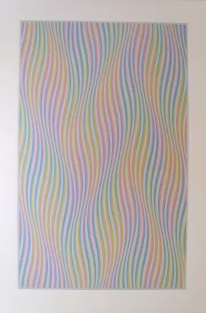 Screenprint Riley - Elapse